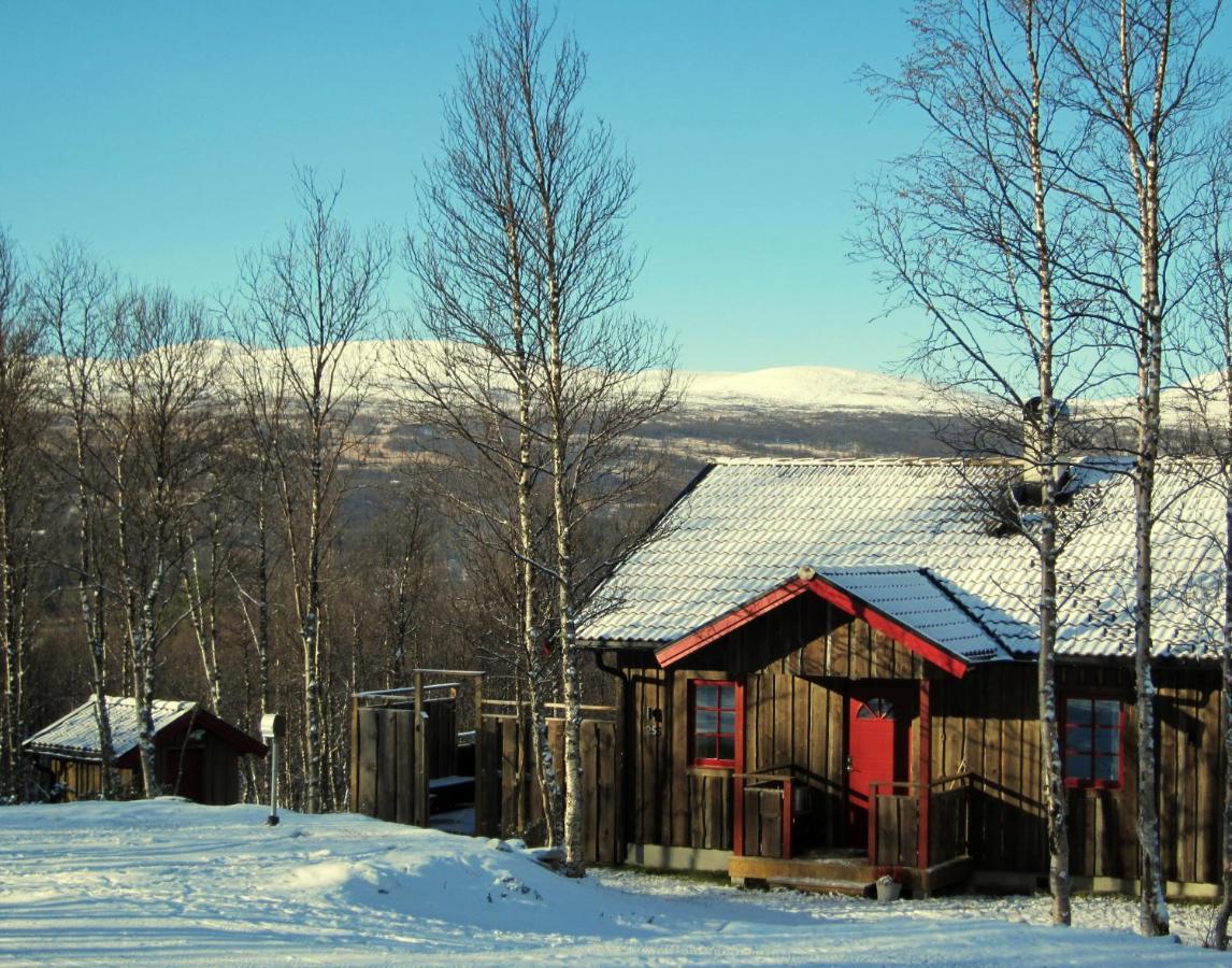Fjaellfrid Stugby Villa Bruksvallarna Bagian luar foto